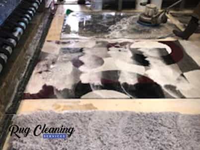 Oriental Rug Cleaning Service Company in Fort Lauderdale